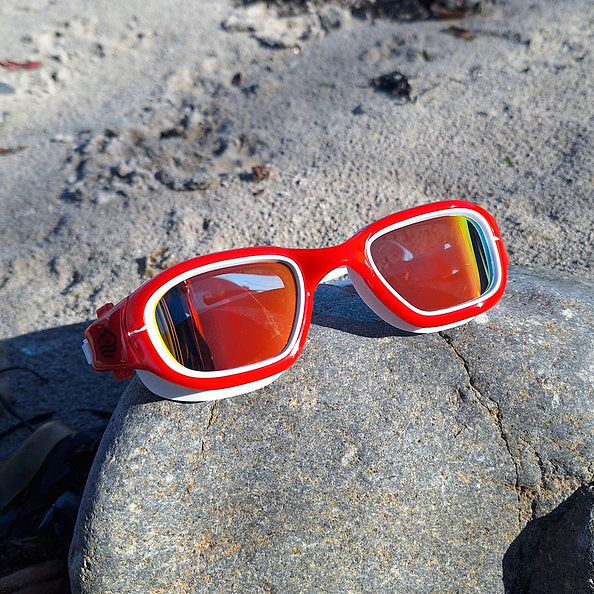Polarized Adult Goggles