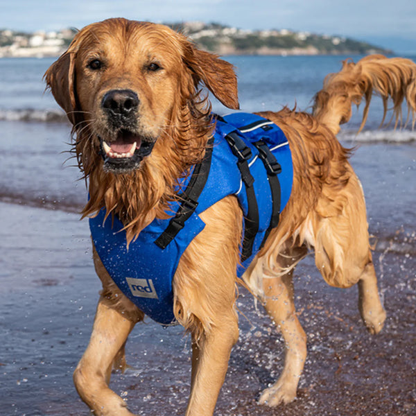 Dog Buoyancy Aid