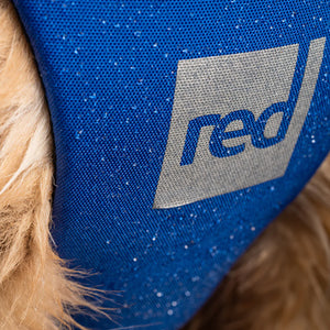 Red Dog Buoyancy Aid