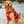 Dog Buoyancy Aid
