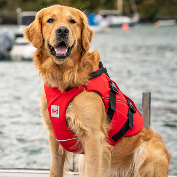Dog Buoyancy Aid