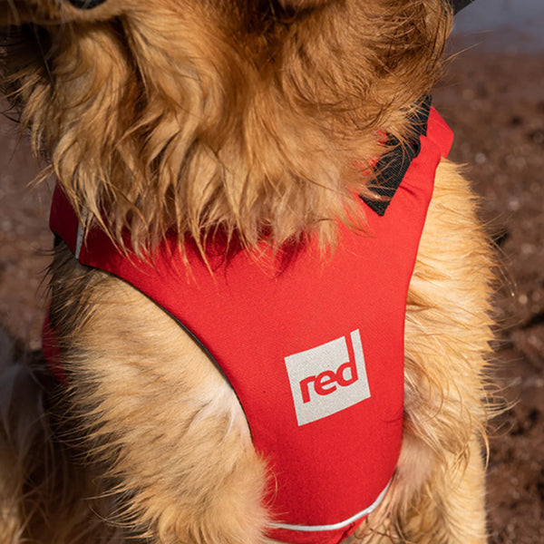 Dog Buoyancy Aid