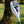 Starboard Lima Tufskin paddle