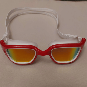 Polarized Adult Goggles