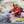 Nookie Octane Women's Drysuit